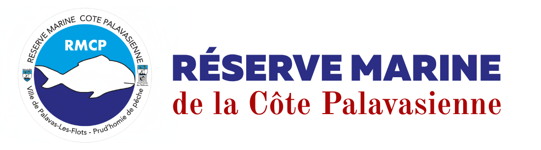 Logo Typographie