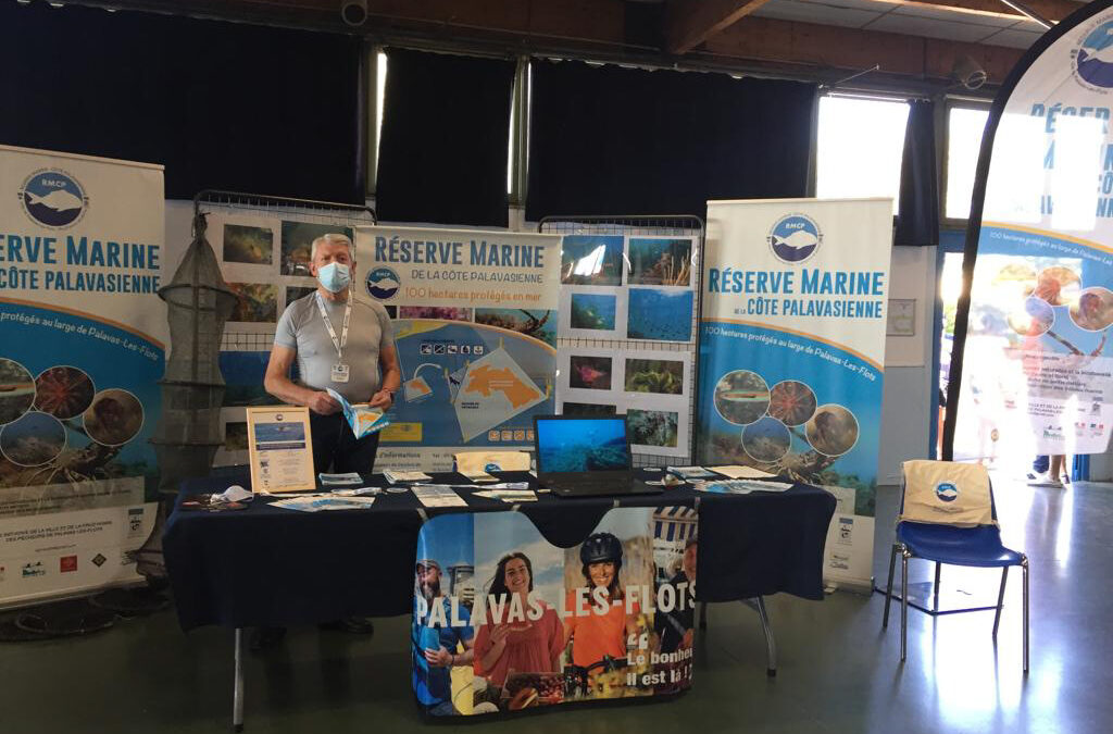 La Réserve Marine s’invite à la médiathèque de Palavas-les-Flots