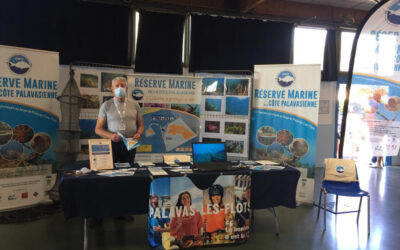 La Réserve Marine s’invite à la médiathèque de Palavas-les-Flots