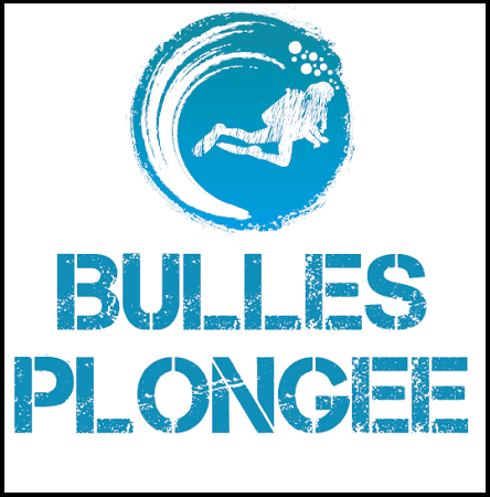 Logo Bulle Plongée