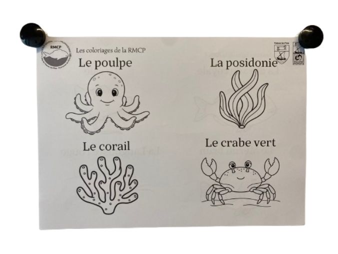 Coloriage de la réserve marine — animation de la RMCP