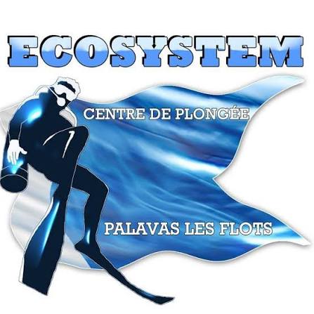 Logo Natura 2000 — « Posidonies de la côte palavasienne »